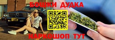 индика Кизилюрт