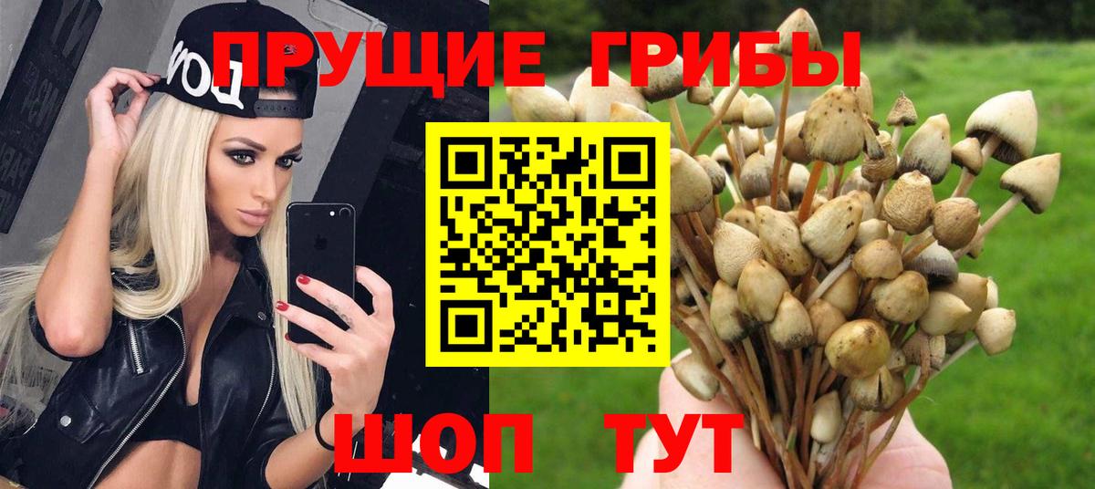 Галлюциногенные грибы прущие грибы Сорочинск